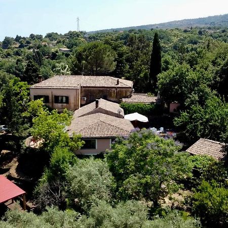 פיידימונטה אטנאו Bed And Breakfast Il Glicine מראה חיצוני תמונה