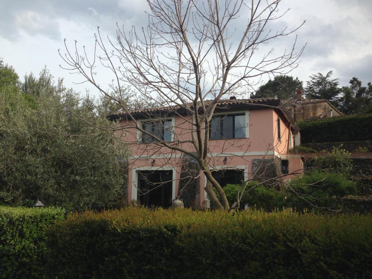 פיידימונטה אטנאו Bed And Breakfast Il Glicine מראה חיצוני תמונה