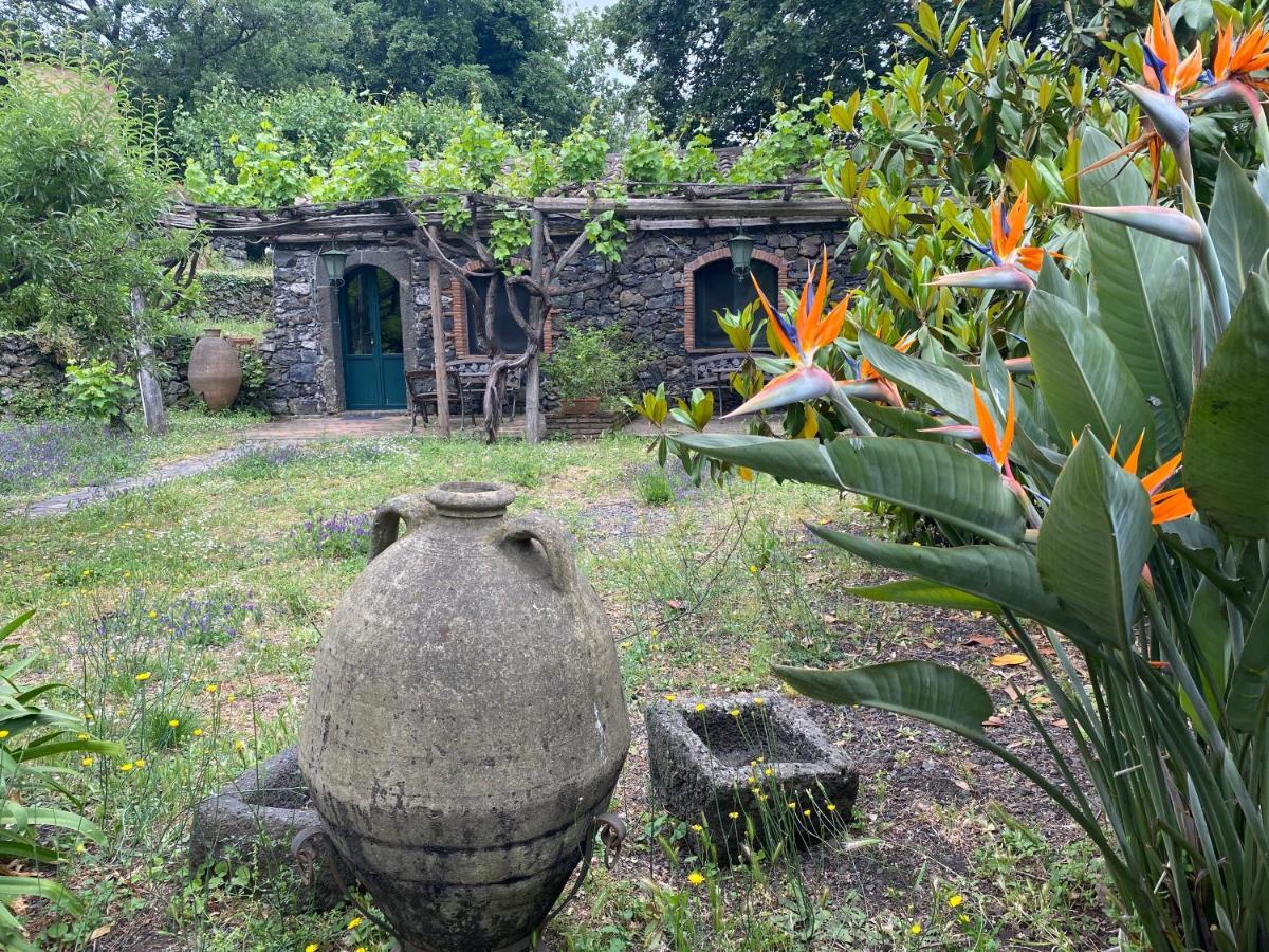 פיידימונטה אטנאו Bed And Breakfast Il Glicine מראה חיצוני תמונה