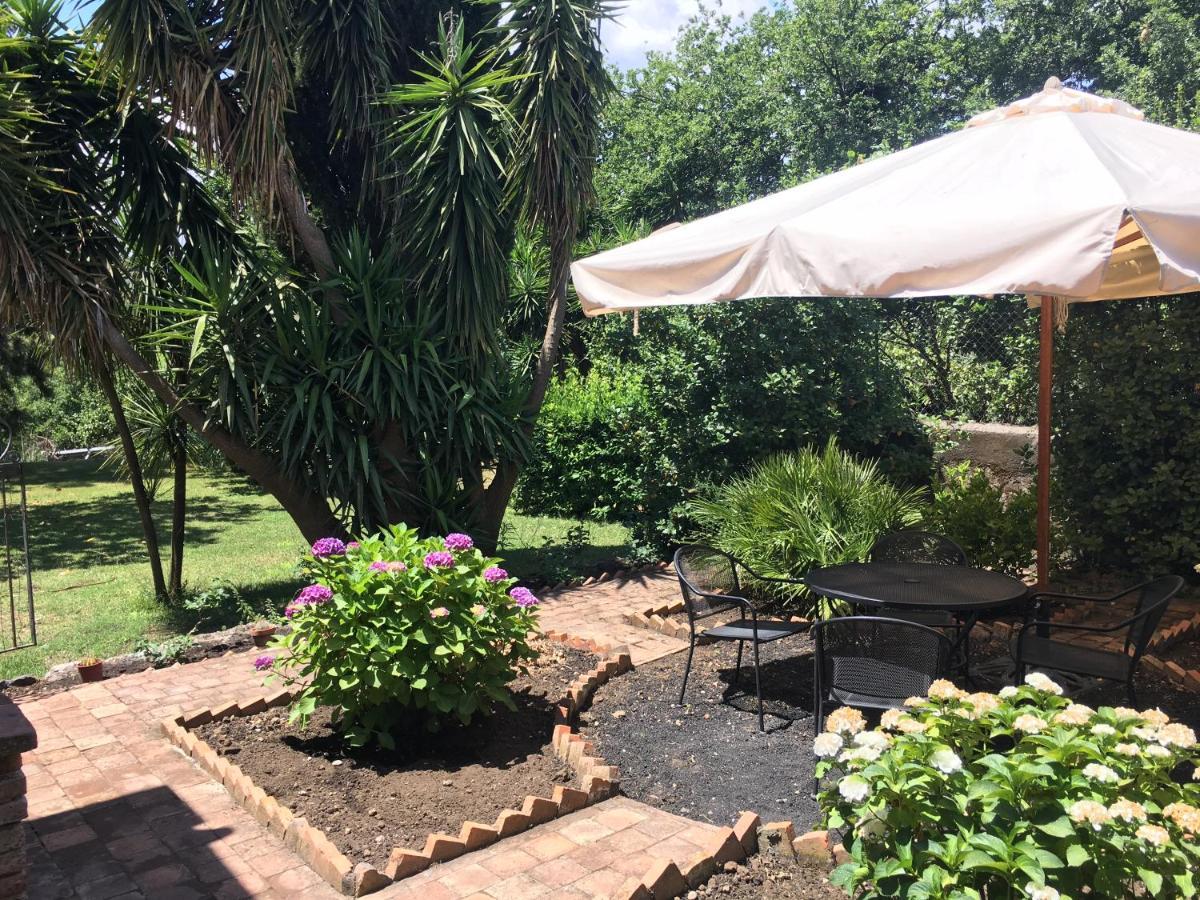 פיידימונטה אטנאו Bed And Breakfast Il Glicine מראה חיצוני תמונה