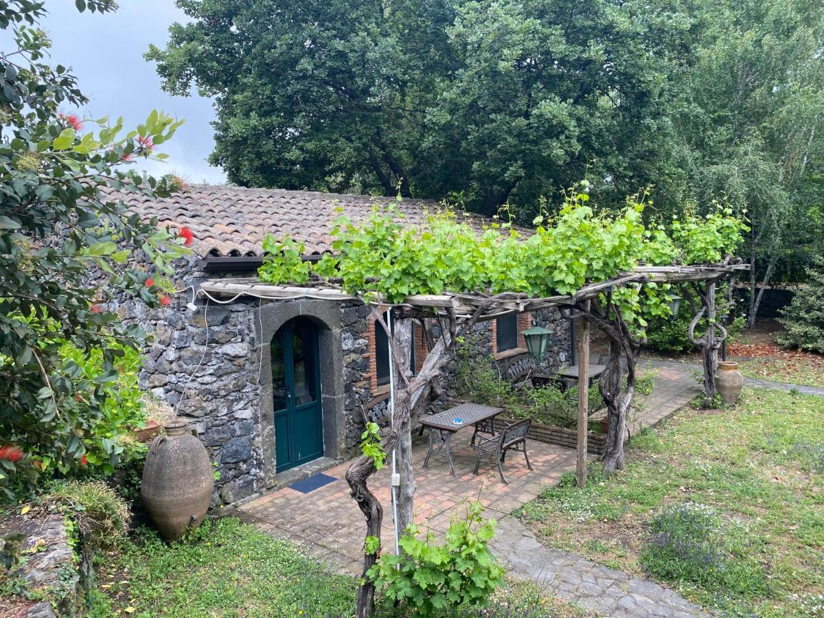 פיידימונטה אטנאו Bed And Breakfast Il Glicine מראה חיצוני תמונה